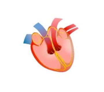Conduction System of the Heart - Dr. Saurabh Deshpande